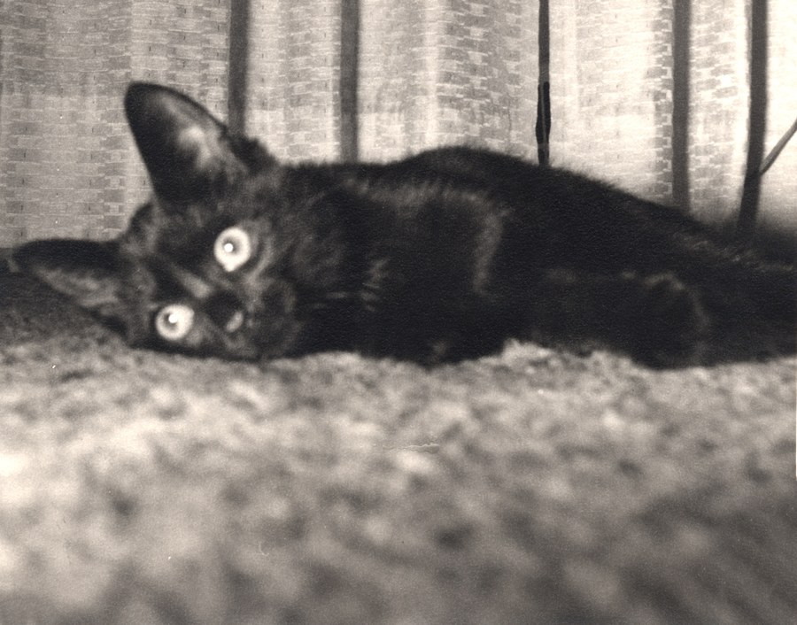 barbara’s collection, 22 of 26