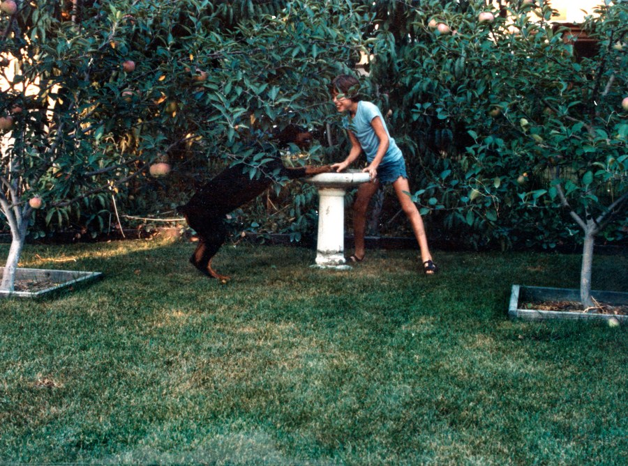 barbara’s collection, 10 of 18 — another frame