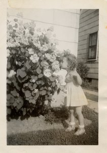 barbara’s collection, 1 of 26