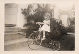 barbara’s collection, 6 of 26
