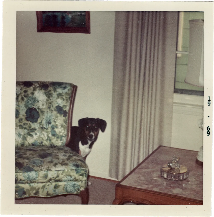 Fotron, no. 78 — another frame