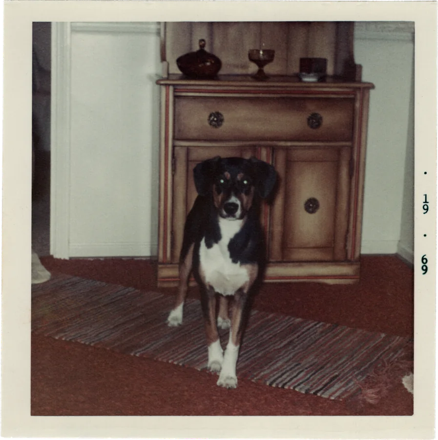 Fotron, no. 79 — another frame