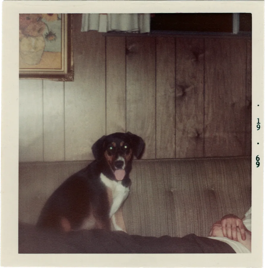 Fotron, no. 81 — another frame