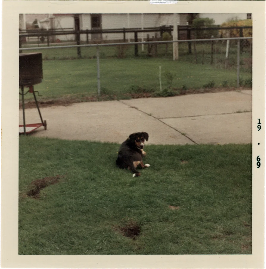 Fotron, no. 83 — another frame
