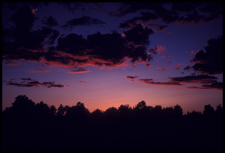 Landscapes, no. 13