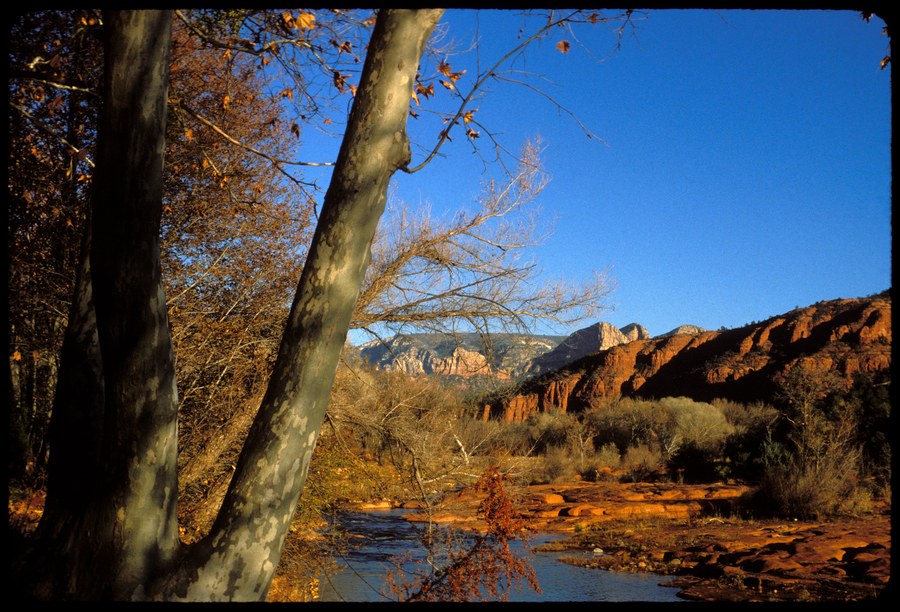 Landscapes, no. 5