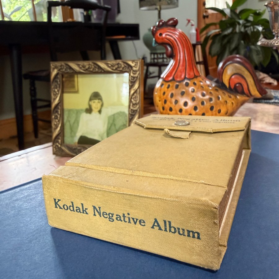 The Negative Album