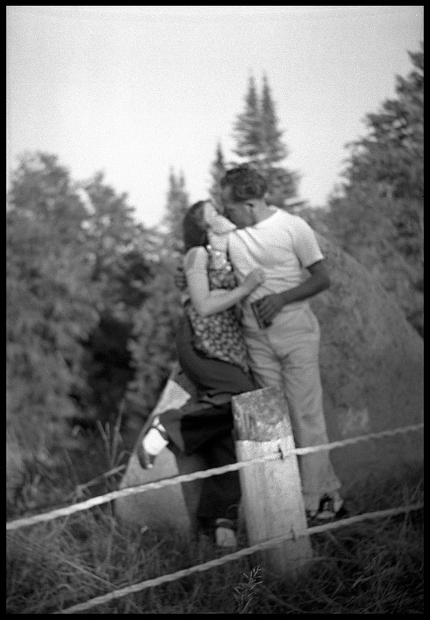 The fence post