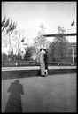 6 x 9 cm negatives, no. 12