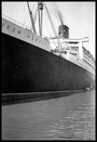 6 x 9 cm negatives, no. 9